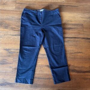 Boden Blue Chino Pants